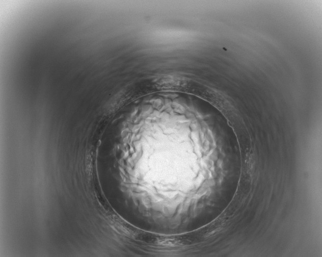 X0000071380753200606301809