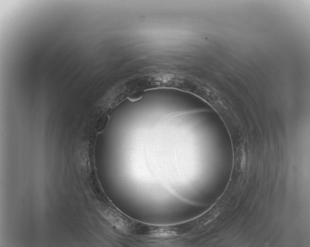 X0000071380754200606301809