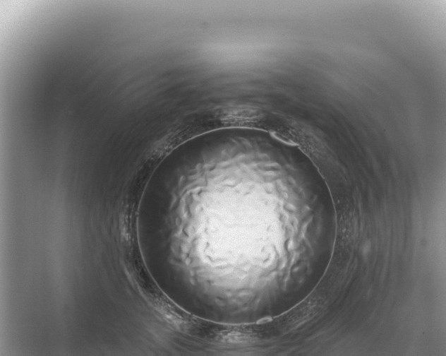 X0000071380755200606301809