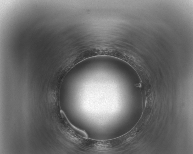 X0000071380756200606301809