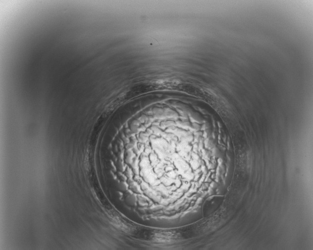 X0000071380757200606301809