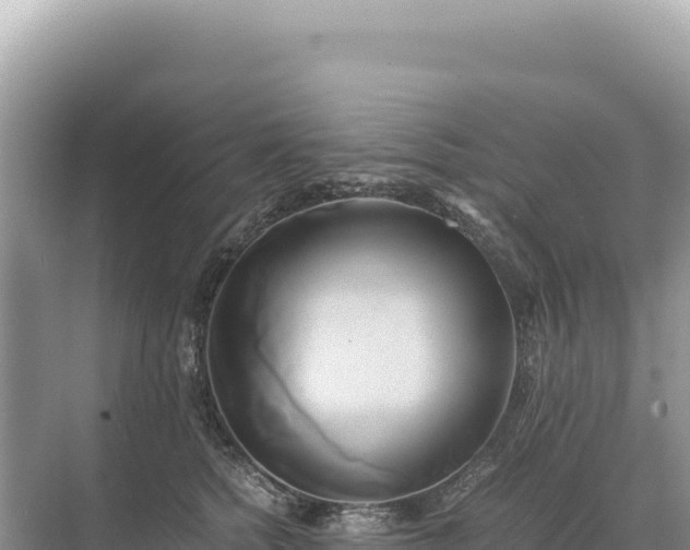 X0000071380758200606301809