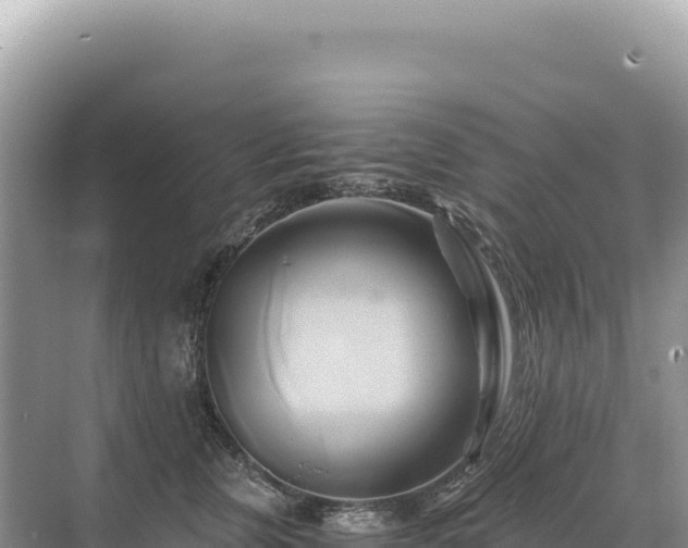 X0000071380759200606301809