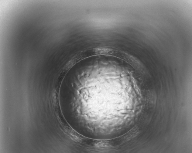 X0000071380761200606301809