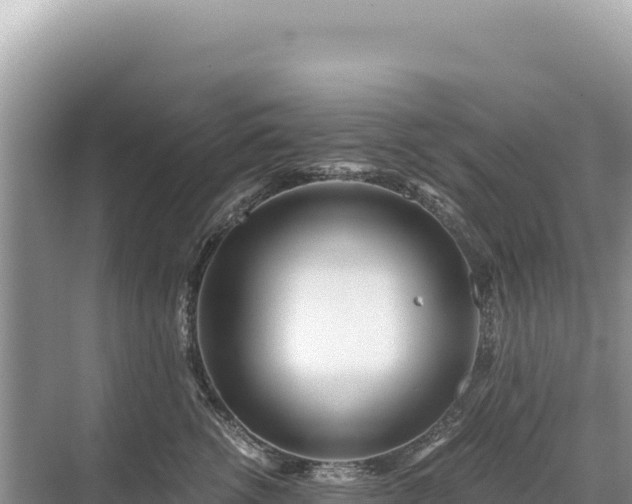 X0000071380762200606301809