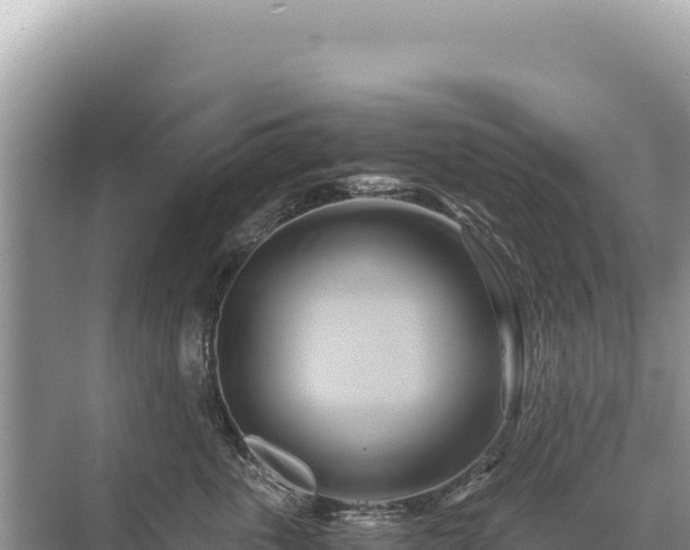 X0000071380763200606301810