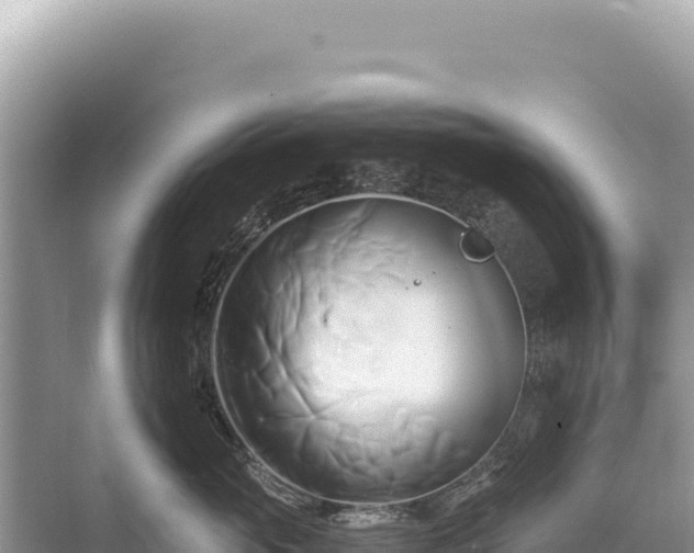 X0000071380765200606301810