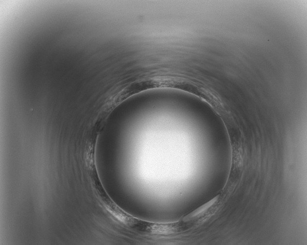 X0000071380766200606301810