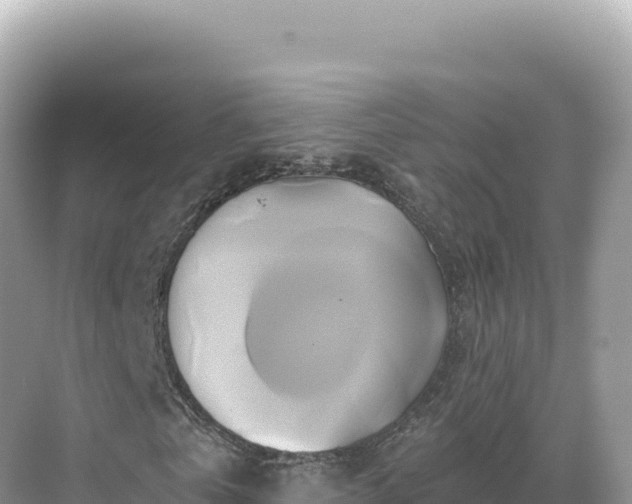 X0000071380769200606301809