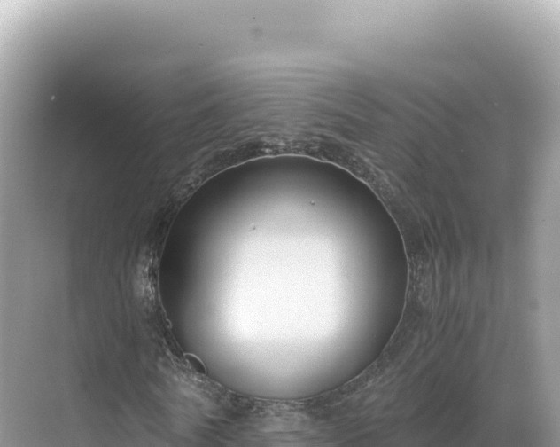 X0000071380770200606301809