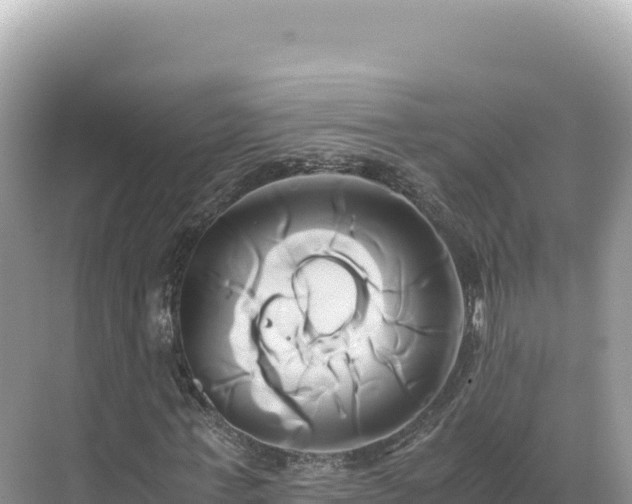 X0000071380771200606301809