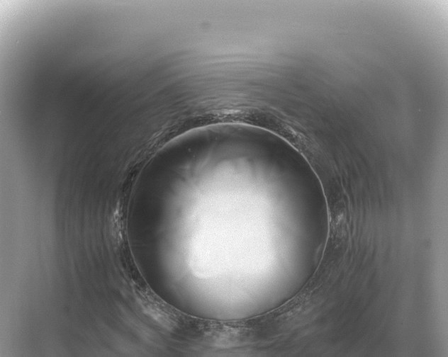 X0000071380772200606301809