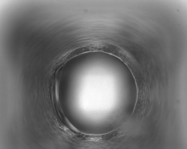 X0000071380773200606301809