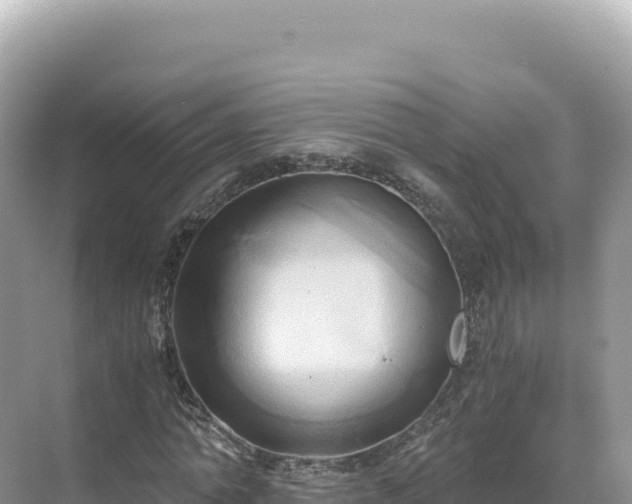 X0000071380774200606301809