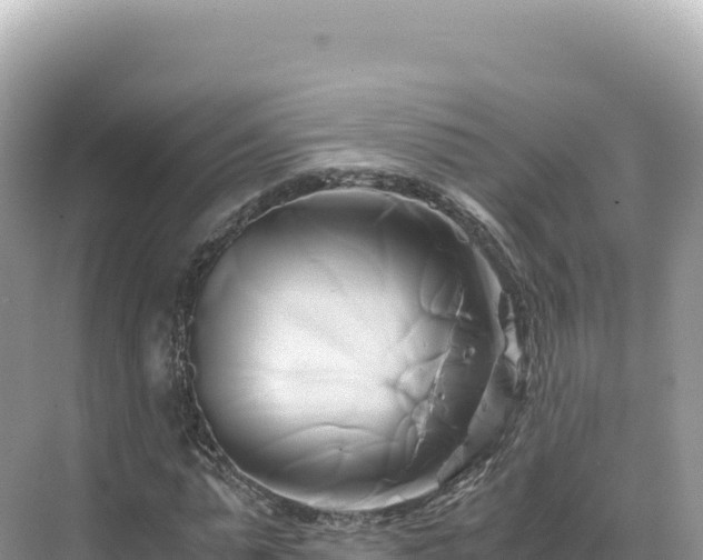 X0000071380775200606301809