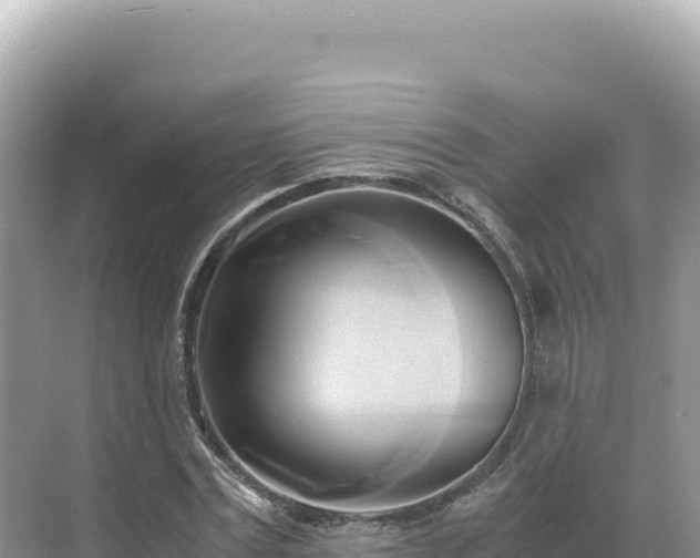 X0000071380779200606301809