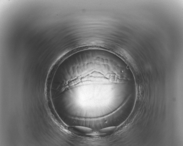 X0000071380780200606301809