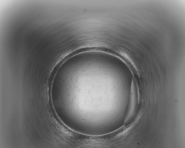 X0000071380781200606301809