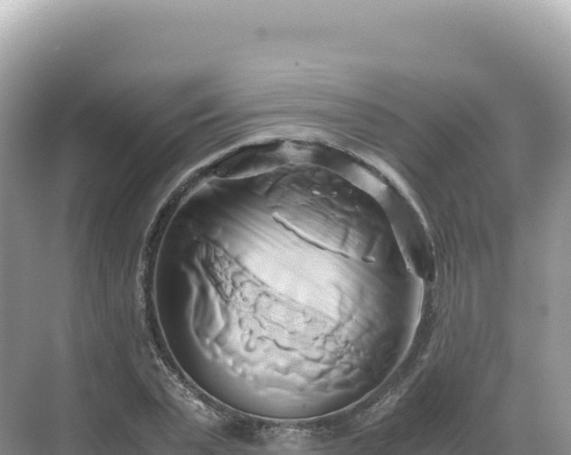 X0000071380783200606301809