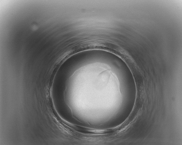 X0000071380785200606301809