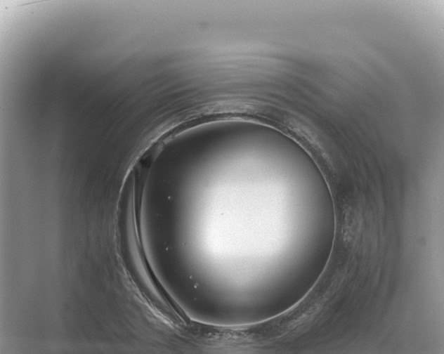 X0000071380786200606301808