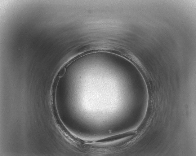 X0000071380787200606301808