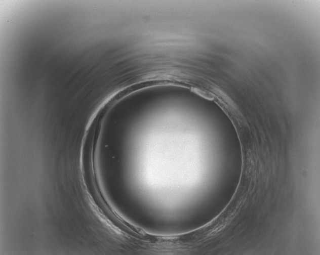 X0000071380788200606301808