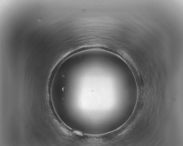 X0000071380789200606301808