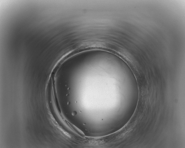 X0000071380790200606301808