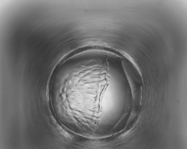 X0000071380791200606301808