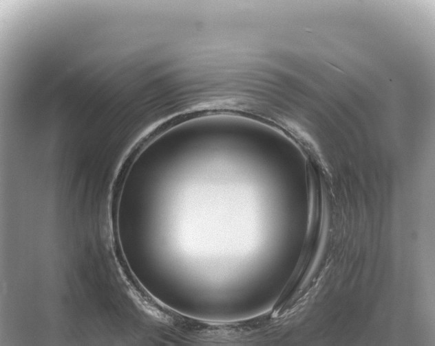 X0000071380792200606301808