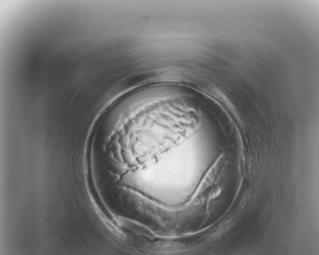 X0000071380795200606301808