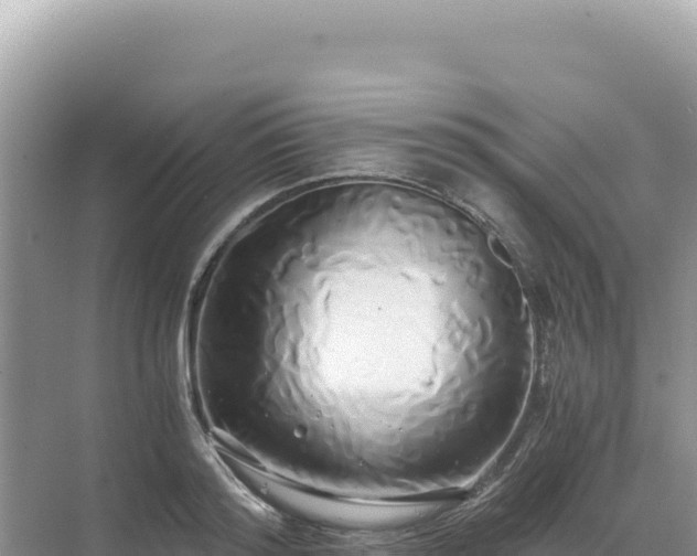 X0000071380796200606301808