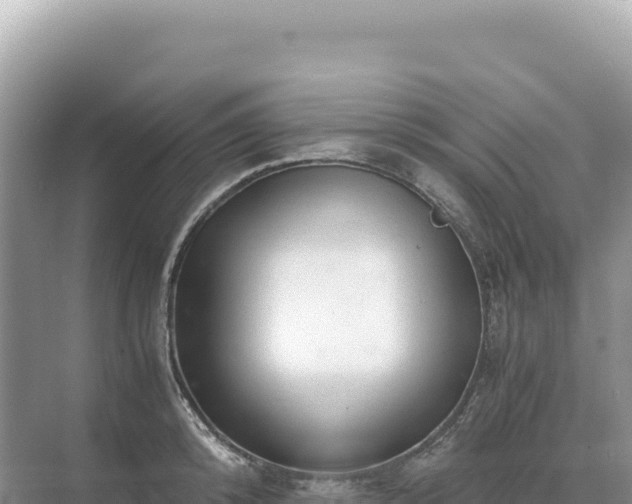 X0000071380800200606301808