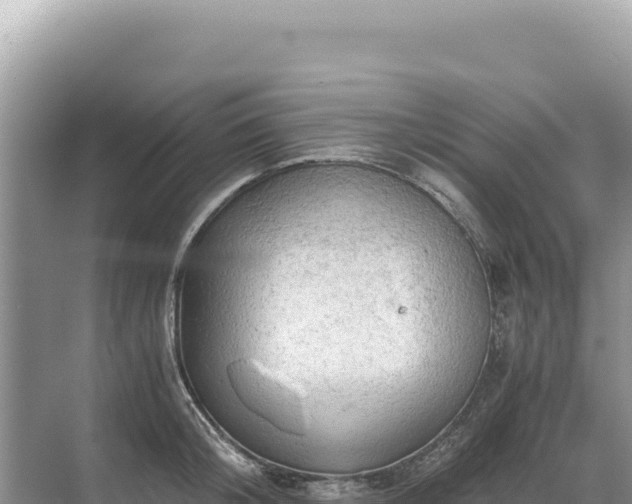 X0000071380804200606301808