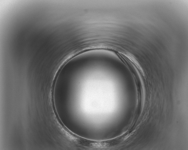 X0000071380805200606301808