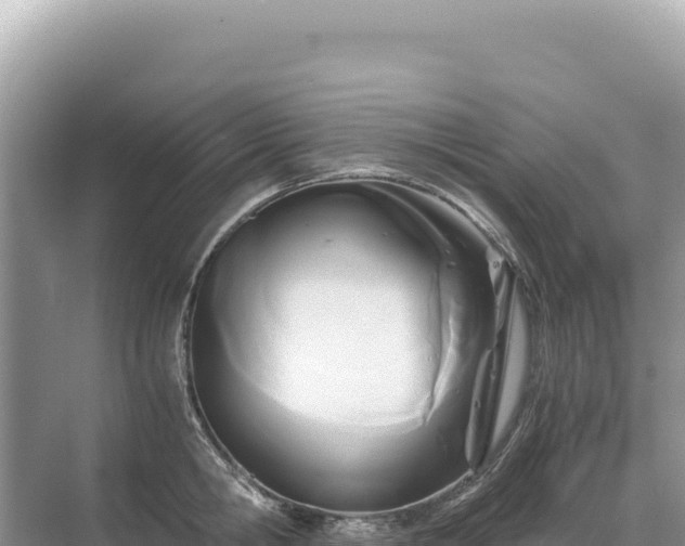 X0000071380806200606301808