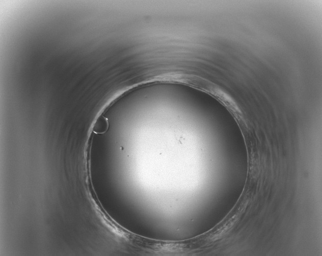 X0000071380808200606301808