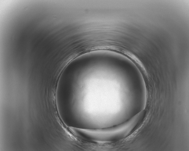 X0000071380809200606301808