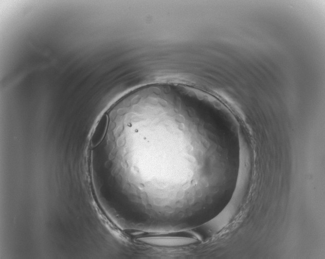 X0000071380816200606301808