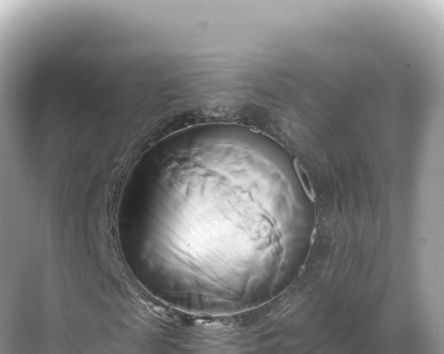 X0000071380817200606301807