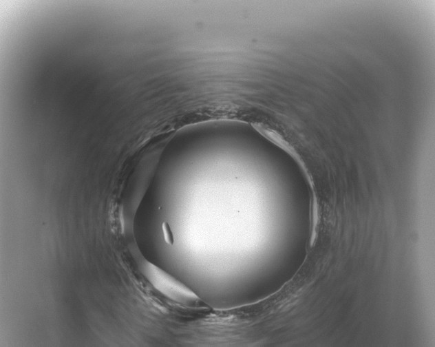 X0000071380818200606301807