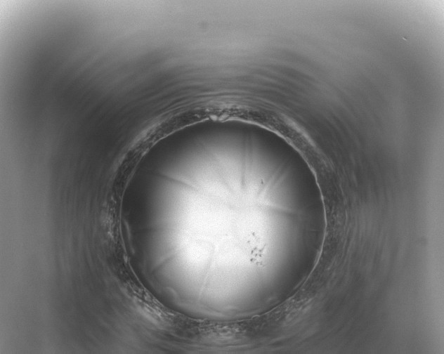 X0000071380823200606301807