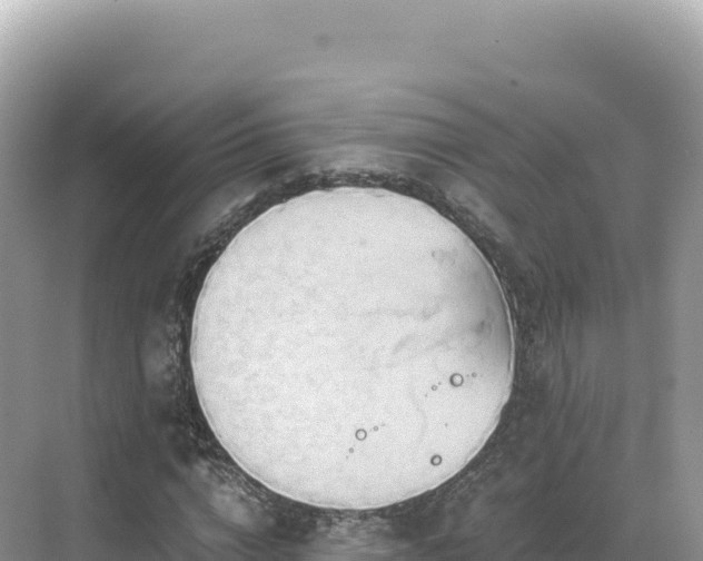 X0000071380824200606301807