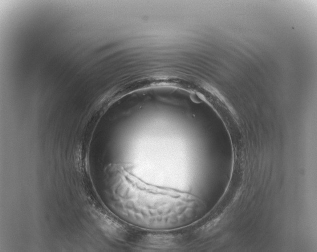 X0000071380825200606301807