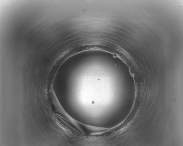 X0000071380826200606301807