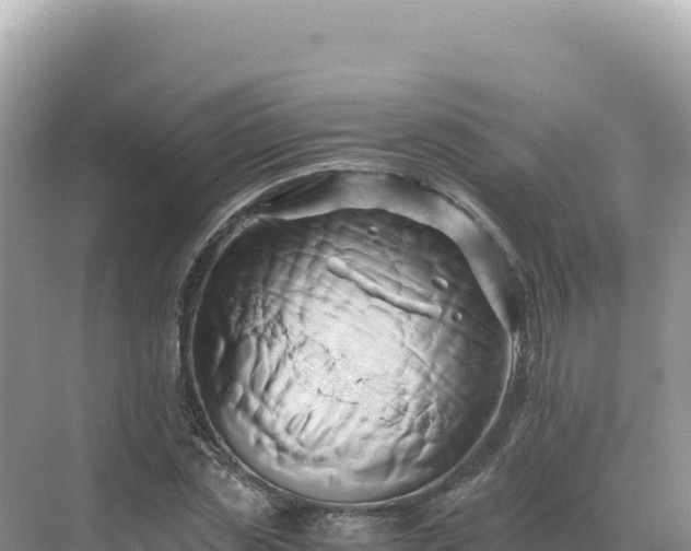 X0000071380829200606301807