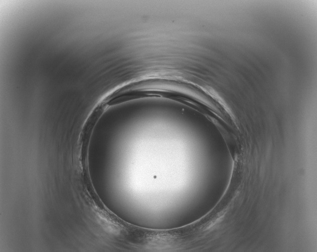 X0000071380830200606301807