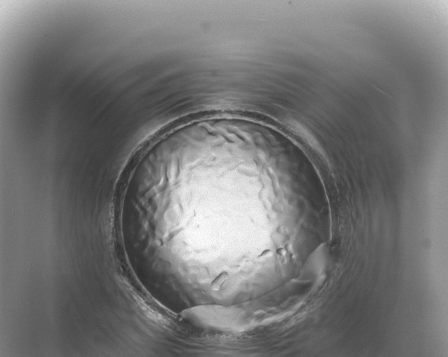 X0000071380831200606301807