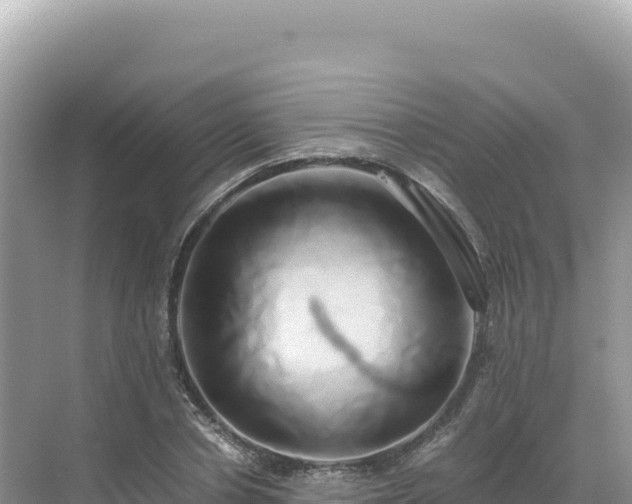 X0000071380834200606301807